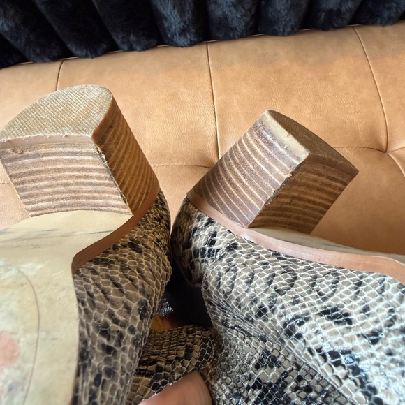 Women's Snake-Print Cutout Ankle Booties - Black/Beige - Picture 7 of 7